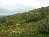 S, Dalarna, Sarna, National Park Fulufjallet 15, Saxifraga-Willem van Kruijsbergen